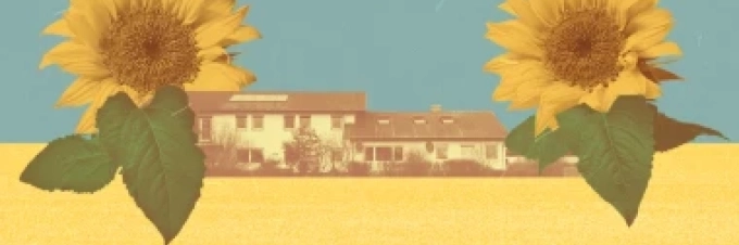 pig-farmer-turned-organic-farmer