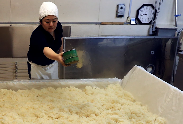 When did people start eating mushrooms?