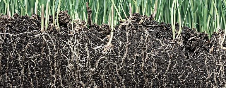 Applying these lessons to agriculture