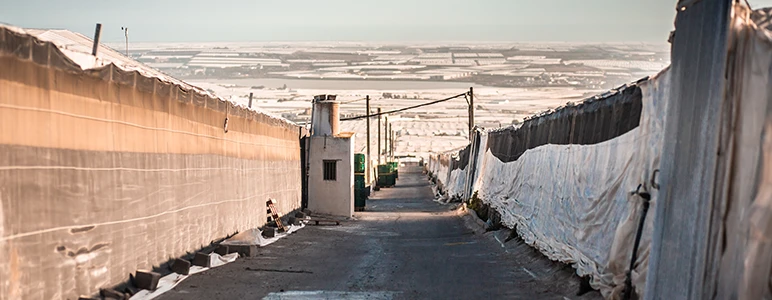 Greenhouse Agriculture