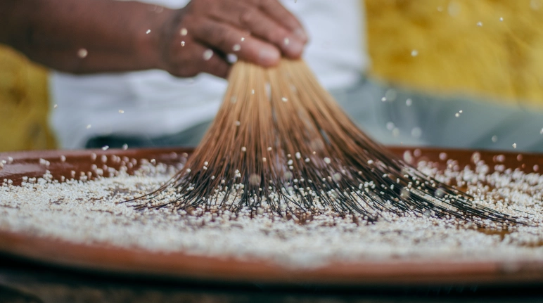 In Latin America, plant fronds are often used to stir amaranth grains as they are toasted.