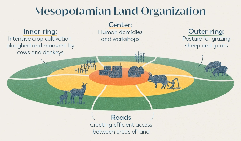 Mesopotamia land organisation