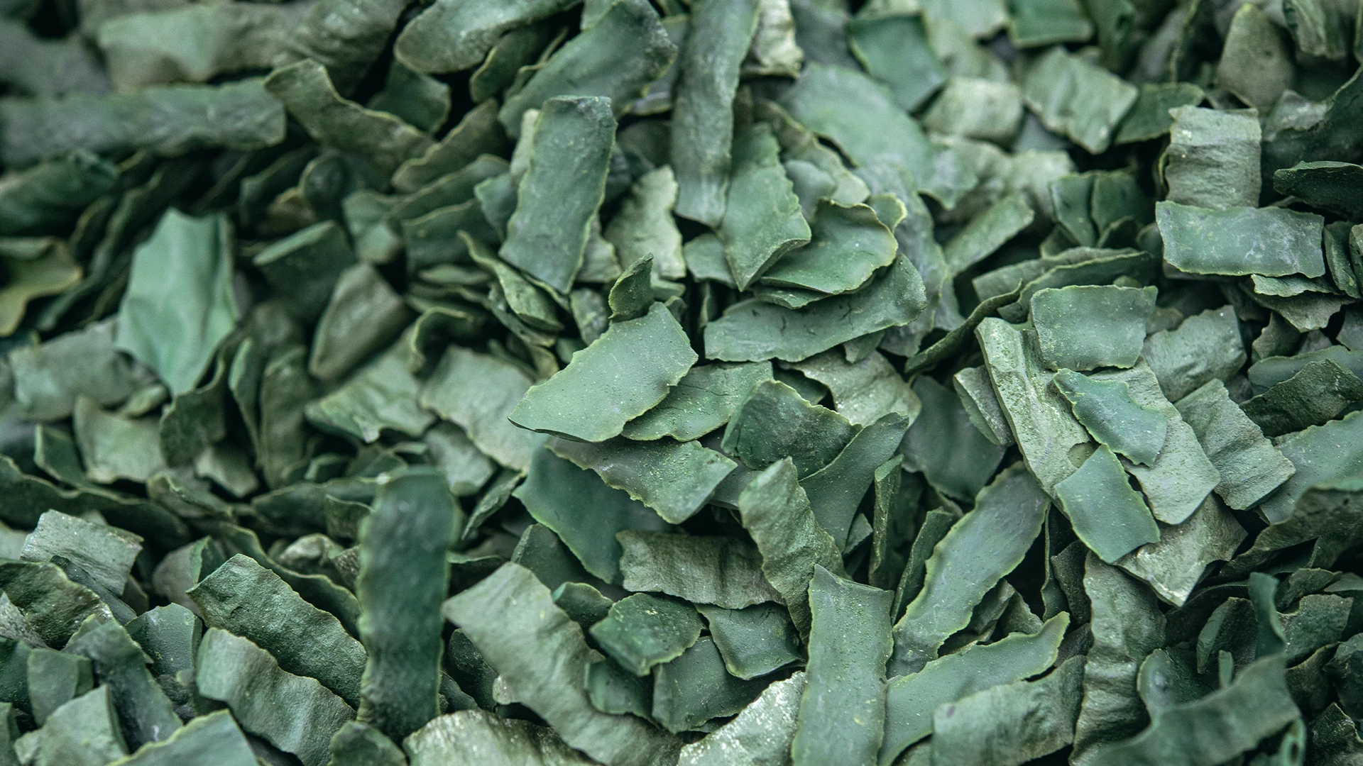 Mikroalgen | 4 interessante Wege Algen zu essen