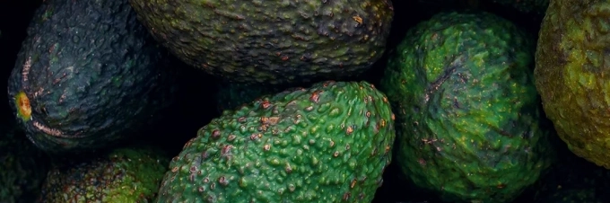 avocado-the-cost-of-production