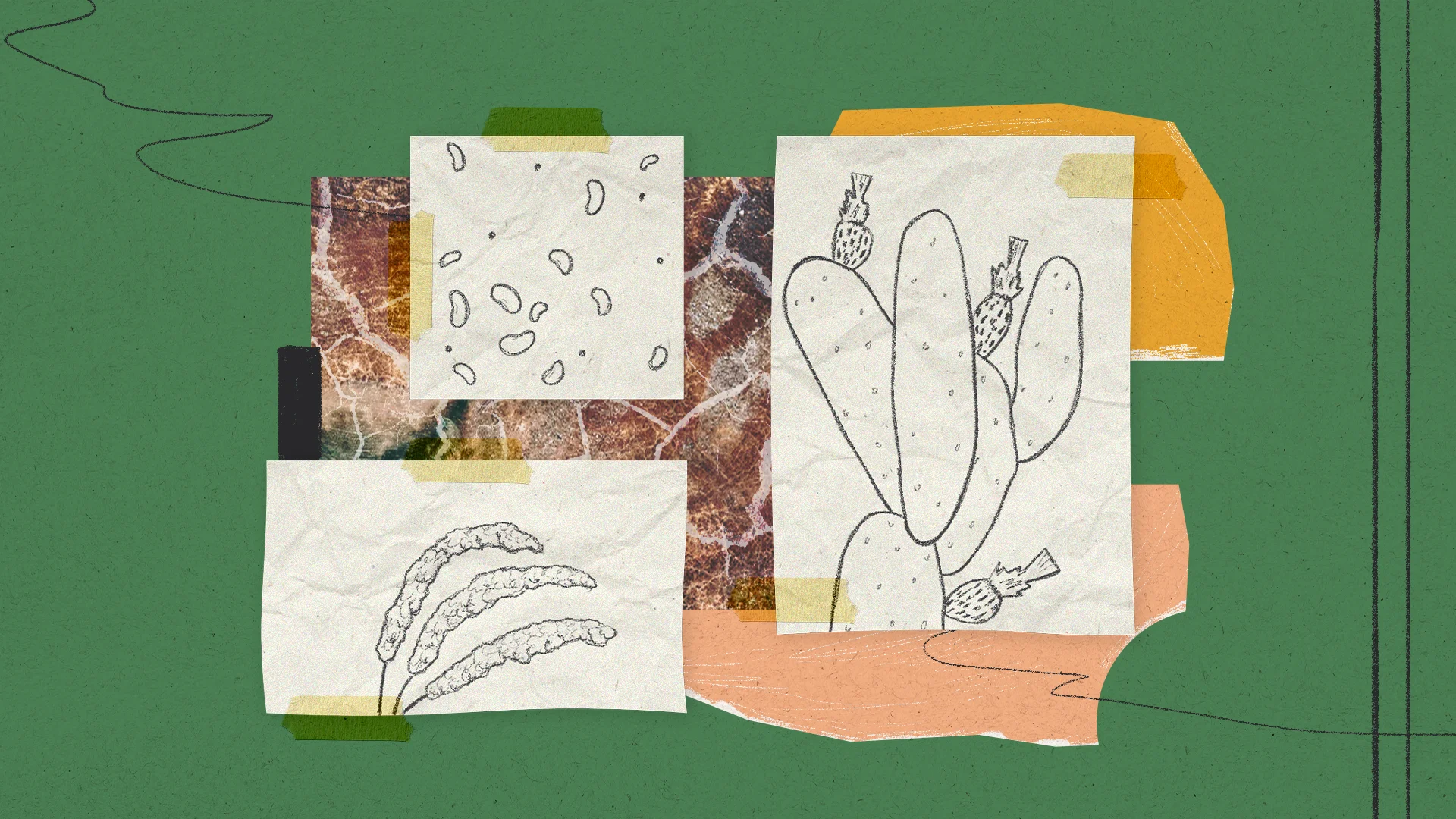 Nutzpflanzen, die dem Klimawandel trotzen