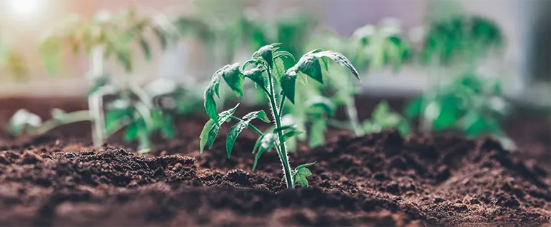 The Common Agricultural Policy is always a work in progress