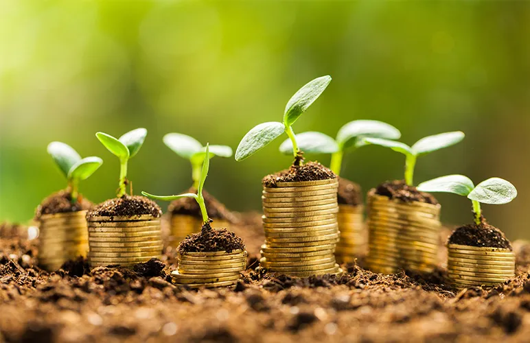 The Money: Who Would Pay The Price Of A Carbon Tax?