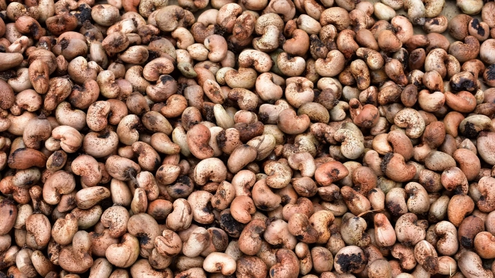 Cashew_Nuts_Hidden_Cost_of_Production_V2_Banner.webp
