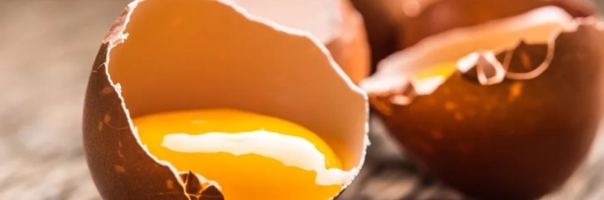 the-building-blocks-of-protein-amino-acids