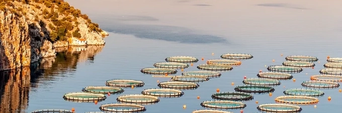 farmed-fish-the-asc-certification-label-buying-sustainable-aquaculture