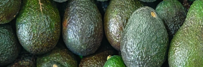 el-aguacate-y-su-coste-de-produccion