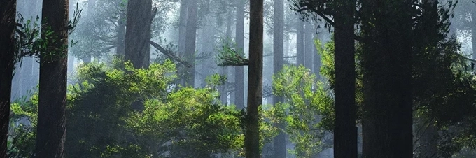 las-nueces-de-brasil-el-coste-de-produccion