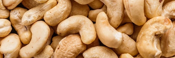 anacardos-como-se-producen