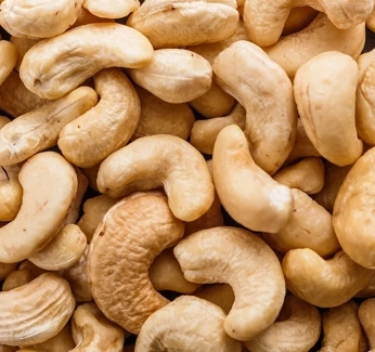 category-image-cashewnutproduction.webp