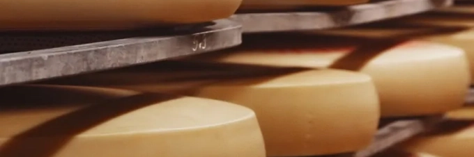 cheese-to-pasteurise-or-not-to-pasteurise