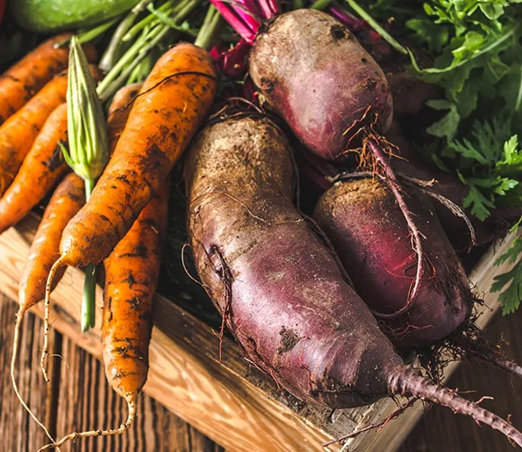 Wie das Kleinschneiden von deinem Gem&uuml;se den N&auml;hrstoffgehalt ver&auml;ndert