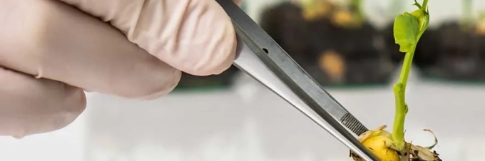 5-misconceptions-about-crispr-to-clear-up