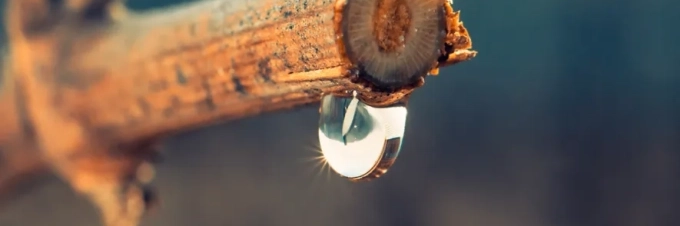 6-consejos-para-reducir-la-huella-hidrica-en-tu-alimentacion