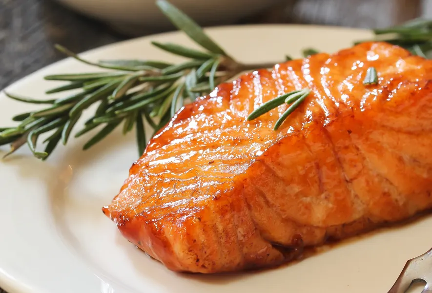 Fischzucht | 3 h&auml;ufig gez&uuml;chtete Fischarten