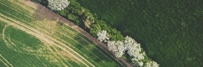 eu-green-deal-5-ways-policy-might-impact-our-food-system