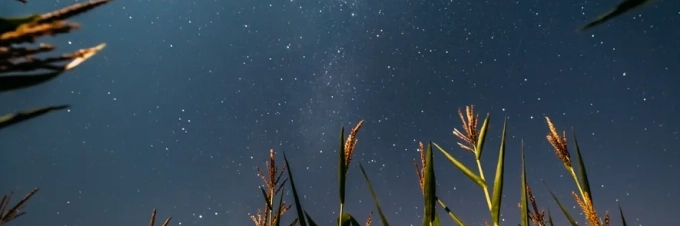 how-plants-are-grown-in-space-space-food-technology