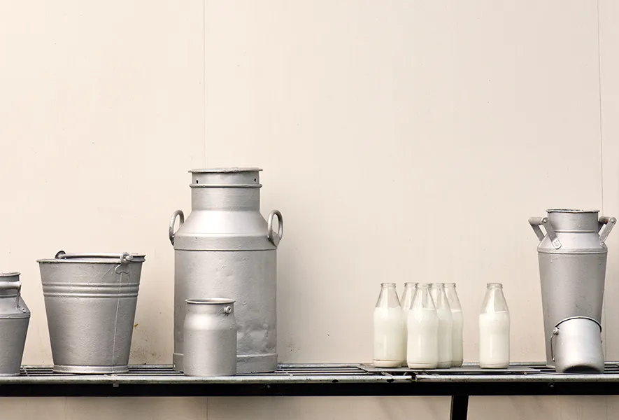 4 Lebensmittel, die überraschenderweise mehr Calcium enthalten als Milch