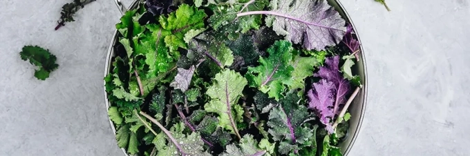 fuentes-de-hierro-de-origen-vegetal