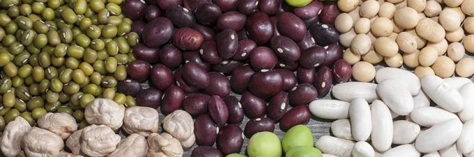 las-sorprendentes-fuentes-de-proteinas-que-no-son-de-origen-animal