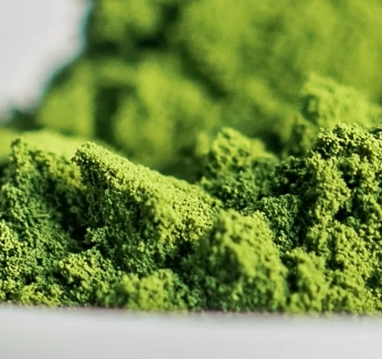 category-image-spirulina.webp