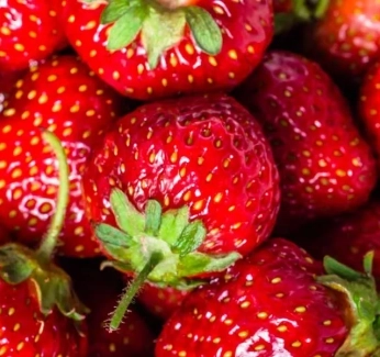category-image-strawberries.webp