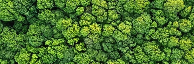 is-sustainability-really-for-everyone-opinion