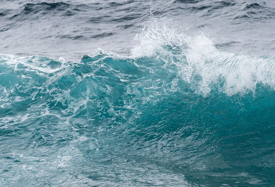 Kennst du den Wasserfussabdruck dieser herk&ouml;mmlichen Lebensmittel?