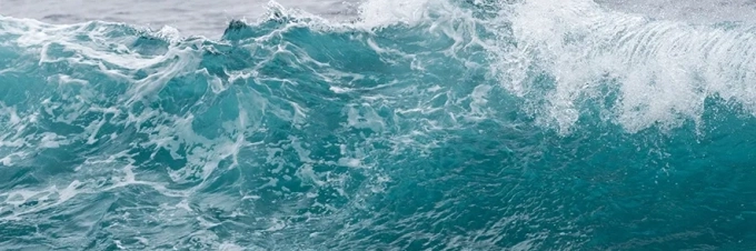 do-you-know-the-water-footprint-of-these-common-foods