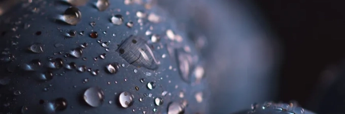 the-water-footprint-of-food