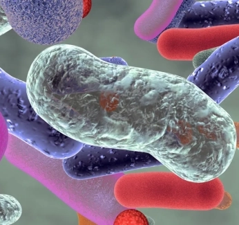 category-image-whatareprebiotics.webp