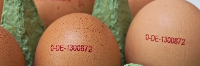 es-el-blockchain-o-cadena-de-bloques-la-solucion-para-la-trazabilidad-preguntamos-al-experto