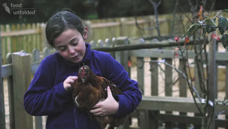 Child with a chicken