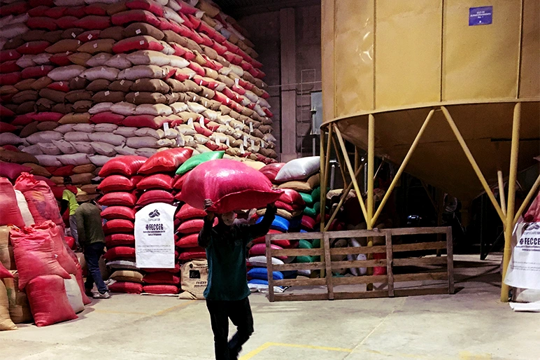 Storage depot of FECCEG coffee beans.