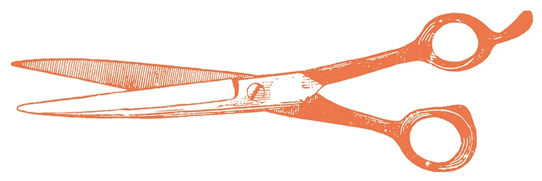 CRISPR is more precise than GM, and it’s only getting started