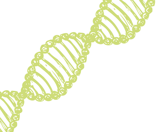 CRISPR is cheap as chips