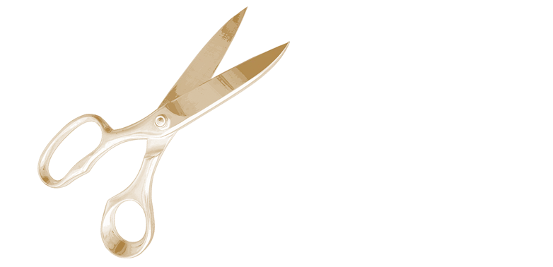 Cas9 then acts as ‘scissors’, cutting out the virus DNA at that exact point