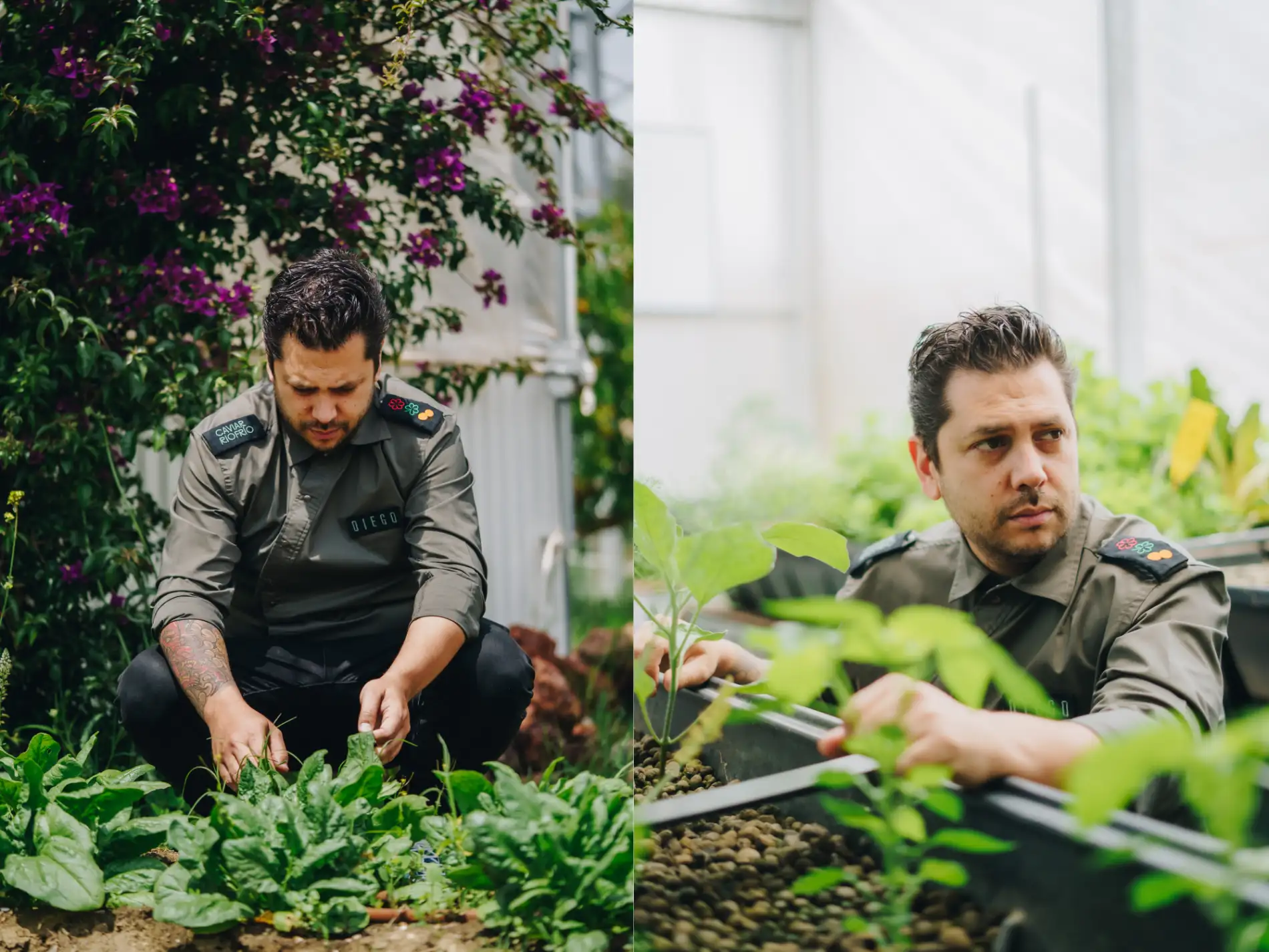 El autoabastecimiento a través de los peces de río y la acuaponía | Entrevista