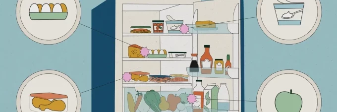 fridge-101-how-to-store-your-food