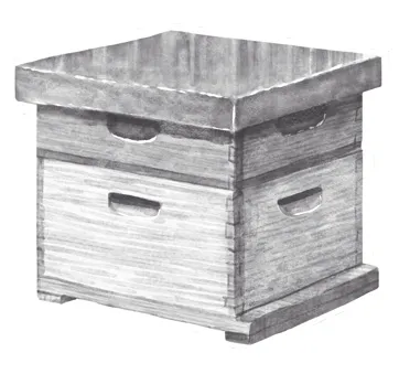 A black and white image of a bee hive