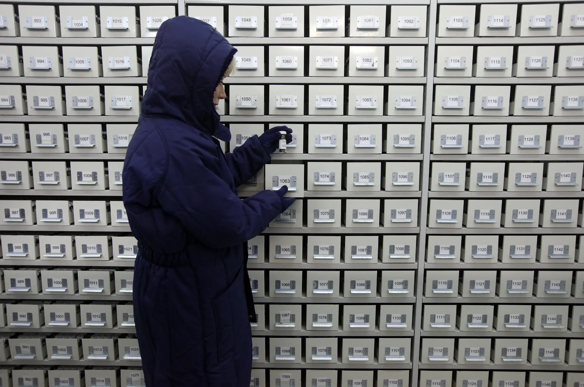Sarah Gattiker stores the 24,200th species of seed in the vault at Kew's Millennium Seed Bank