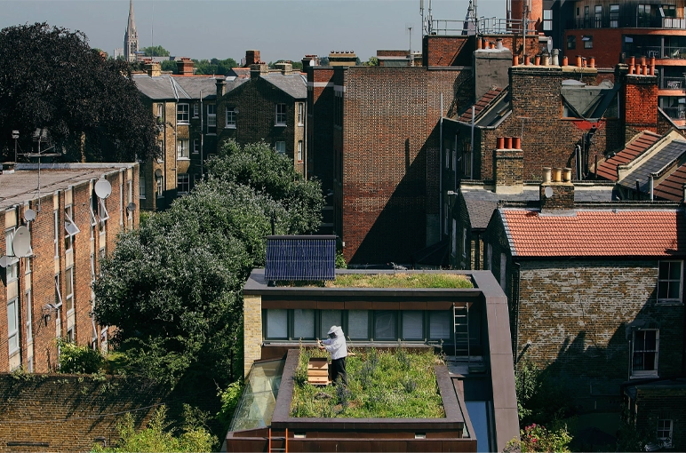 Urban rooftop farming 