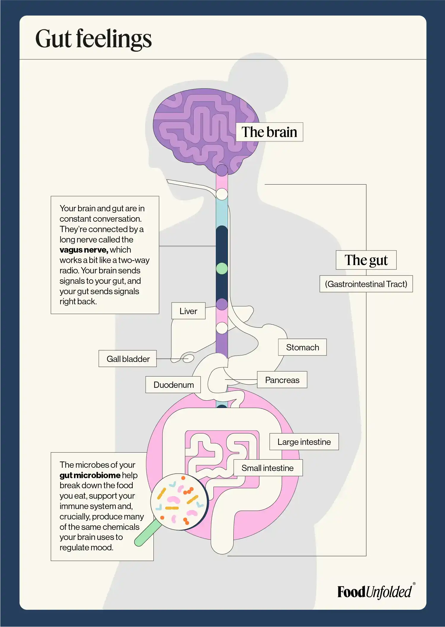Good mood food: the link between what you eat and how you feel