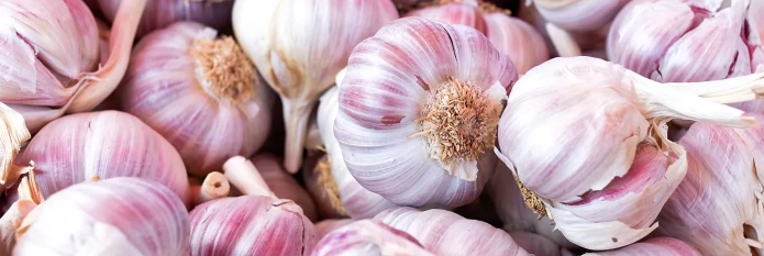 header-banner-garlic.webp