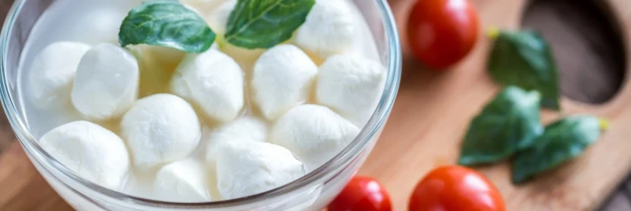 header-banner-mozzarella.webp