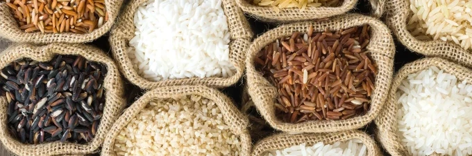 arroz-en-asia-como-se-cultiva